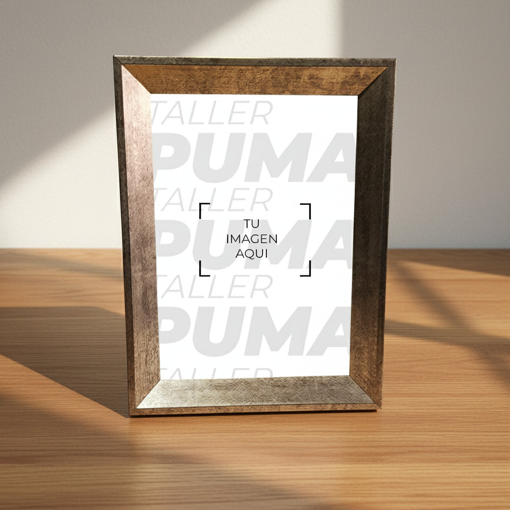 #color_plata