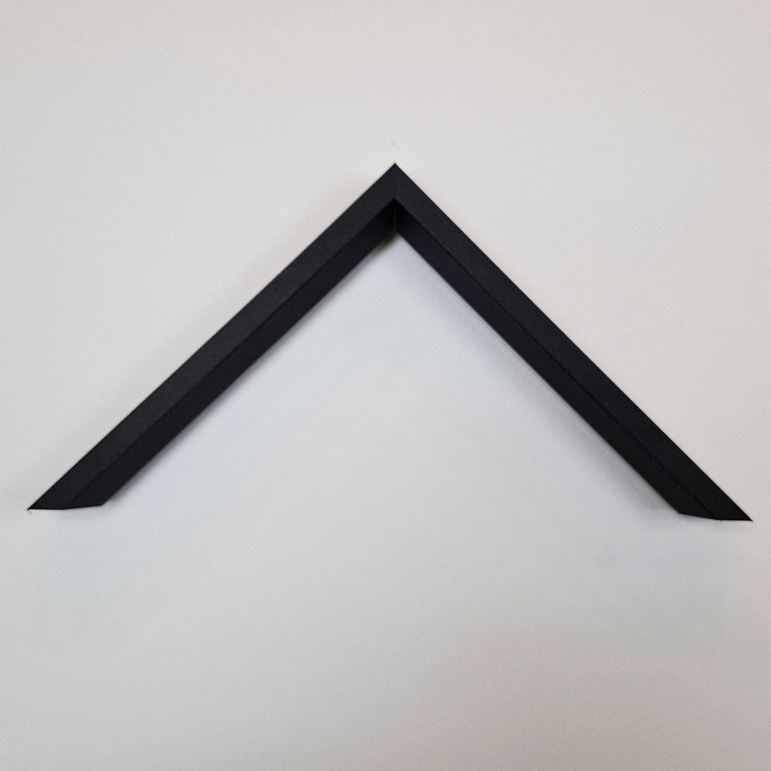 #color_negro